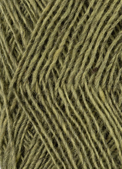Fjallalopi - 3031 - Moss