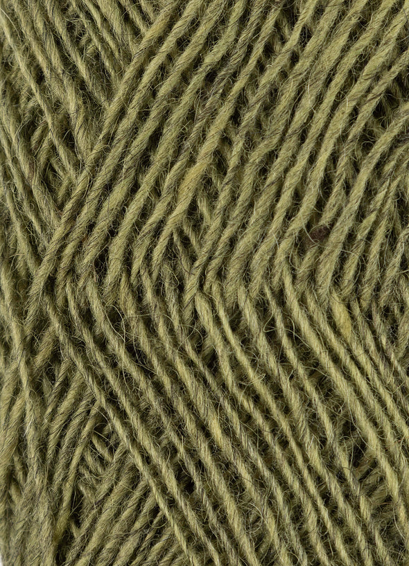 Fjallalopi - 3031 - Moss