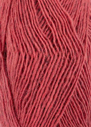 Fjallalopi - 3072 - Rubarb