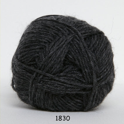 Tuntre Merino 1830
